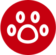 /static/frontend/images/icon4.PNG